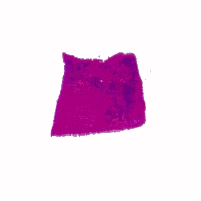 p-h-03.jpg (34019 Byte)