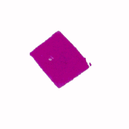 p-h-06.jpg (23946 Byte)