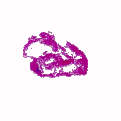 p-h-08.jpg (39062 Byte)