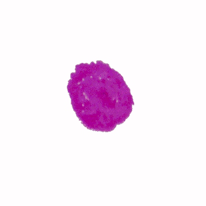 p-h-14.jpg (22631 Byte)