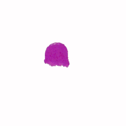 p-h-16.jpg (11299 Byte)