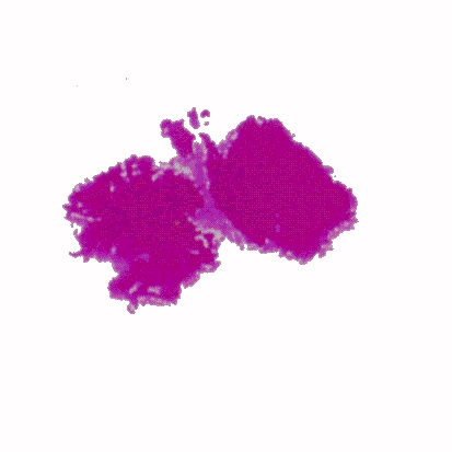 p-h-17.jpg (41406 Byte)