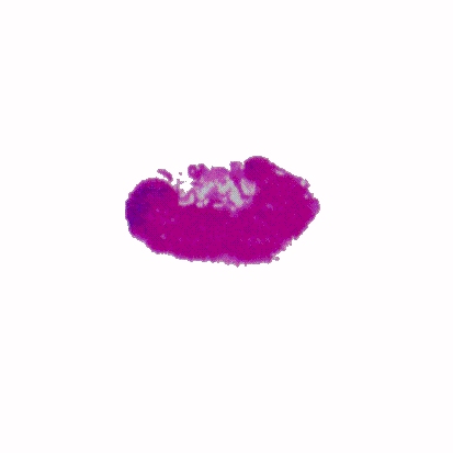 p-h-21.jpg (20715 Byte)
