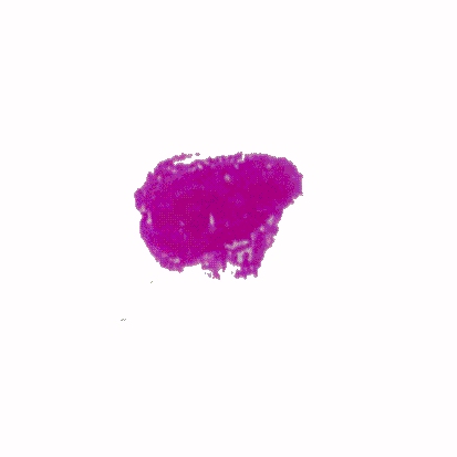p-h-22.jpg (21615 Byte)