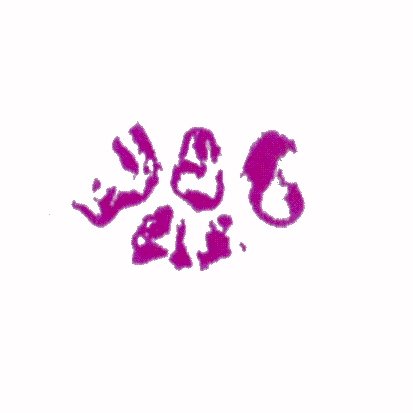 p-h-64.jpg (32260 Byte)