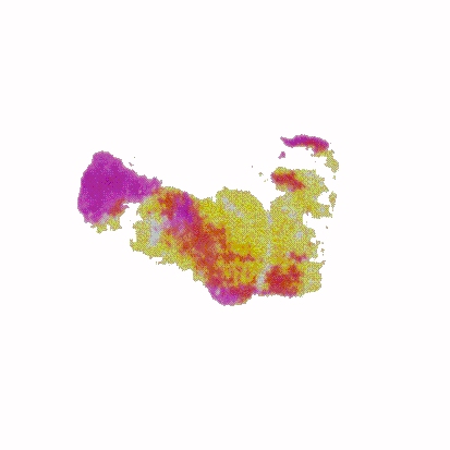 p-h-02.jpg (35805 Byte)