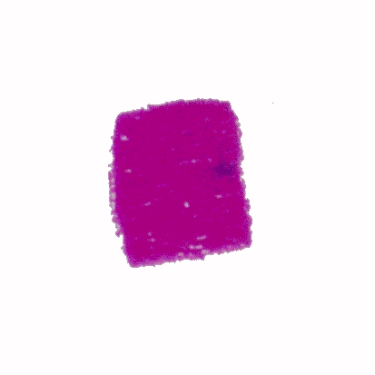 p-h-04.jpg (27904 Byte)