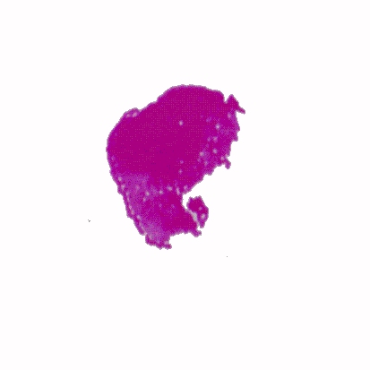 p-h-09.jpg (27615 Byte)