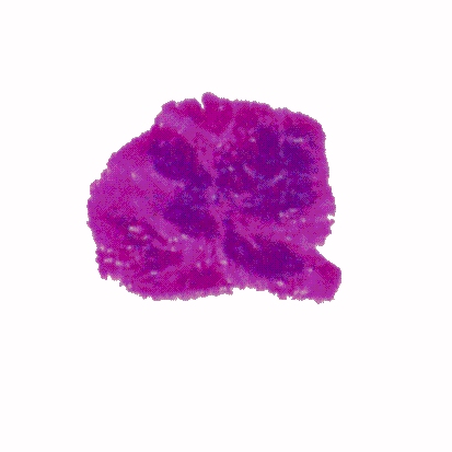 p-h-11.jpg (49116 Byte)