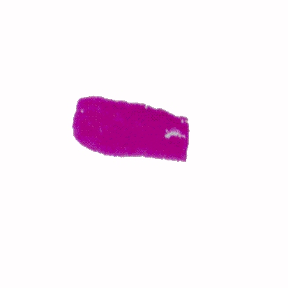 p-h-12.jpg (17171 Byte)