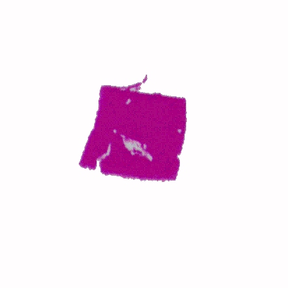 p-h-18.jpg (25106 Byte)