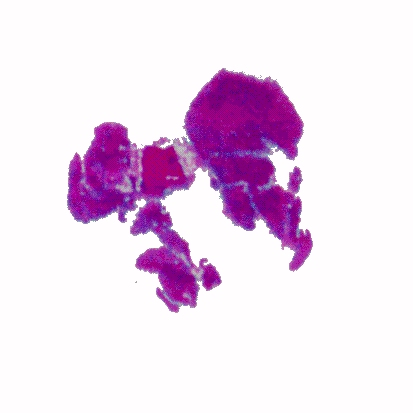 p-h-19.jpg (46214 Byte)