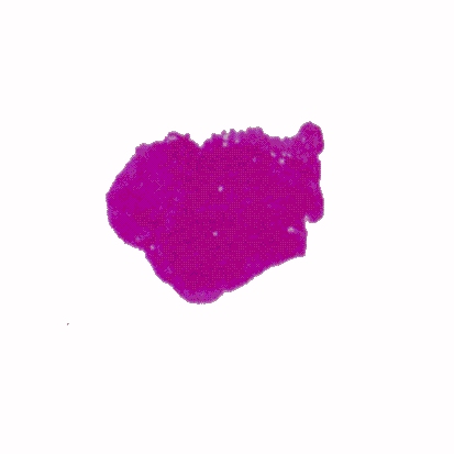 p-h-43.jpg (31738 Byte)