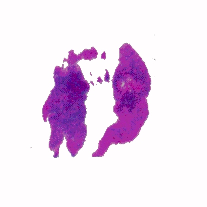 p-h-44.jpg (45978 Byte)