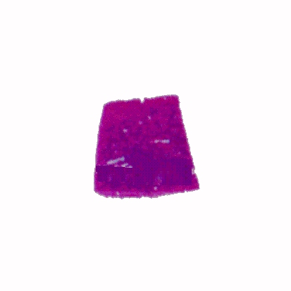 p-h-47.jpg (25533 Byte)