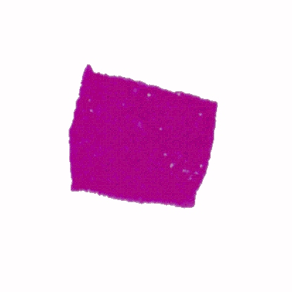 p-h-48.jpg (39756 Byte)