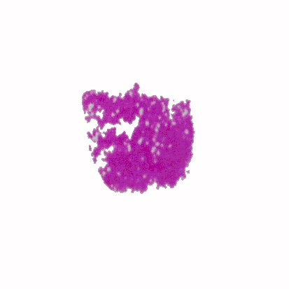 p-h-54.jpg (31120 Byte)