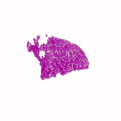 p-h-55.jpg (34224 Byte)