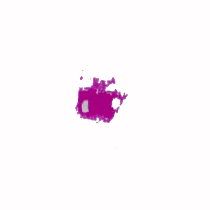 p-h-56.jpg (13743 Byte)