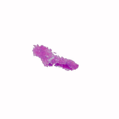 p-h-60.jpg (15112 Byte)