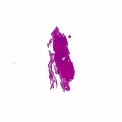 p-h-67.jpg (23754 Byte)