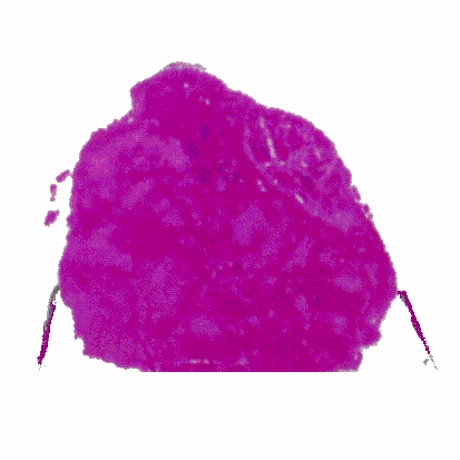 p-h-68.jpg (77987 Byte)