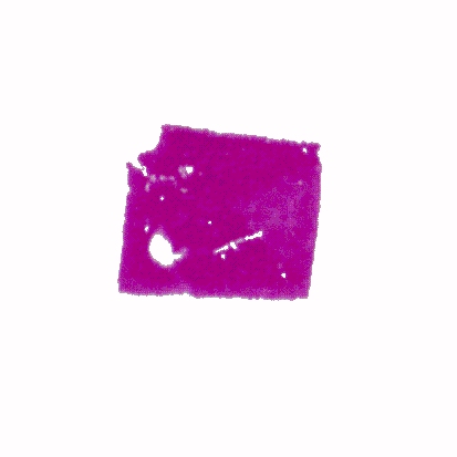 p-h-71.jpg (32036 Byte)