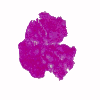 p-h-13.jpg (60621 Byte)