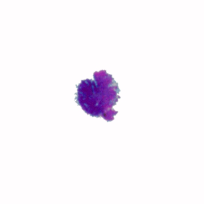 p-h-20.jpg (13968 Byte)