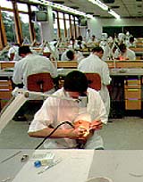 phantomkurs2.jpg (20289 Byte)