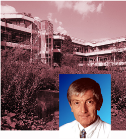 klinik.jpg (91073 Byte)